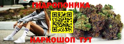 сатива Бузулук