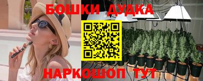 сатива Бузулук