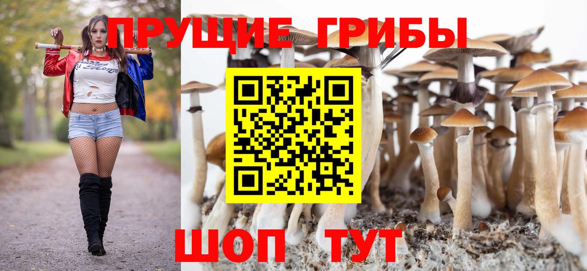 Псилоцибиновые грибы прущие грибы  Вход с VPN  Карасук 